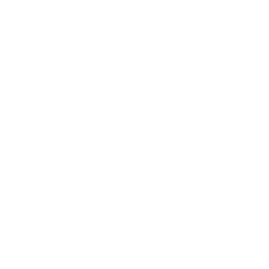 logo min white